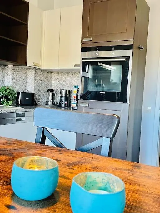 Apartment Big Penthouse 2 Bedrooms In Center With Parking And Largeterrace-41 Luxembourg
